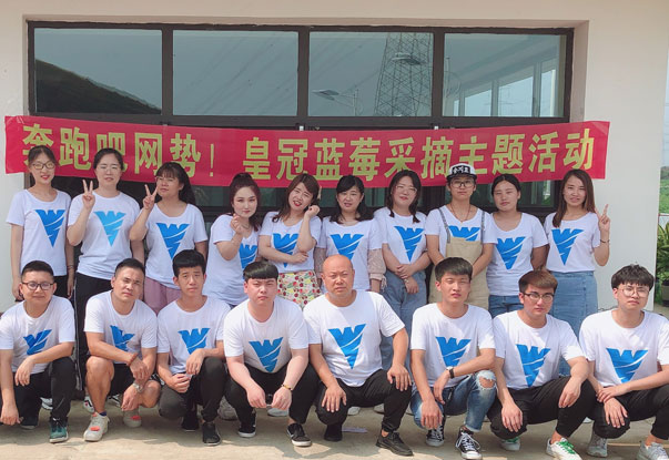 【奔跑吧網(wǎng)勢(shì)！】藍(lán)莓采摘主題團(tuán)建活動(dòng)